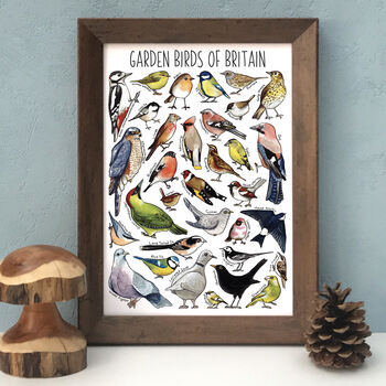 Garden Birds Of Britain Illustrated Postcard, 11 of 11