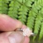 Cast Willow Coral Flower Ring, thumbnail 5 of 6