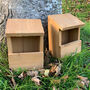Set Of Two Wooden Robin Bird Houses, thumbnail 3 of 4