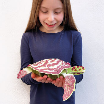 Build Your Own Personalised Hawksbill Turtle, 3 of 10