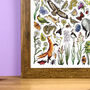 Meadow Wildlife Of Britain Wildlife Print, thumbnail 8 of 9