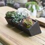 Black Cement Planter With Choice Of Plant, thumbnail 4 of 8