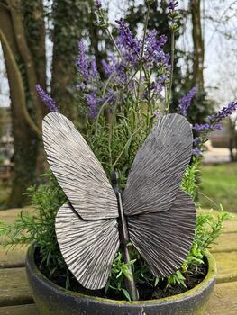 Three Hour Garden Making Experience, 4 of 6