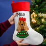 Personalised Party Dog Christmas Present Stocking, thumbnail 1 of 12