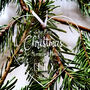 Personalised 1st Christmas Parent Hanging Decoration, thumbnail 2 of 2