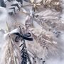 Pampas Grass Hanging Decoration, thumbnail 1 of 6