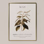 Birth Flower Wall Print 'Lily Of The Valley' For May, thumbnail 6 of 9