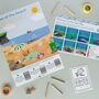 Children's Eco Activity Box: Marvellous Marine Turtles, thumbnail 3 of 10