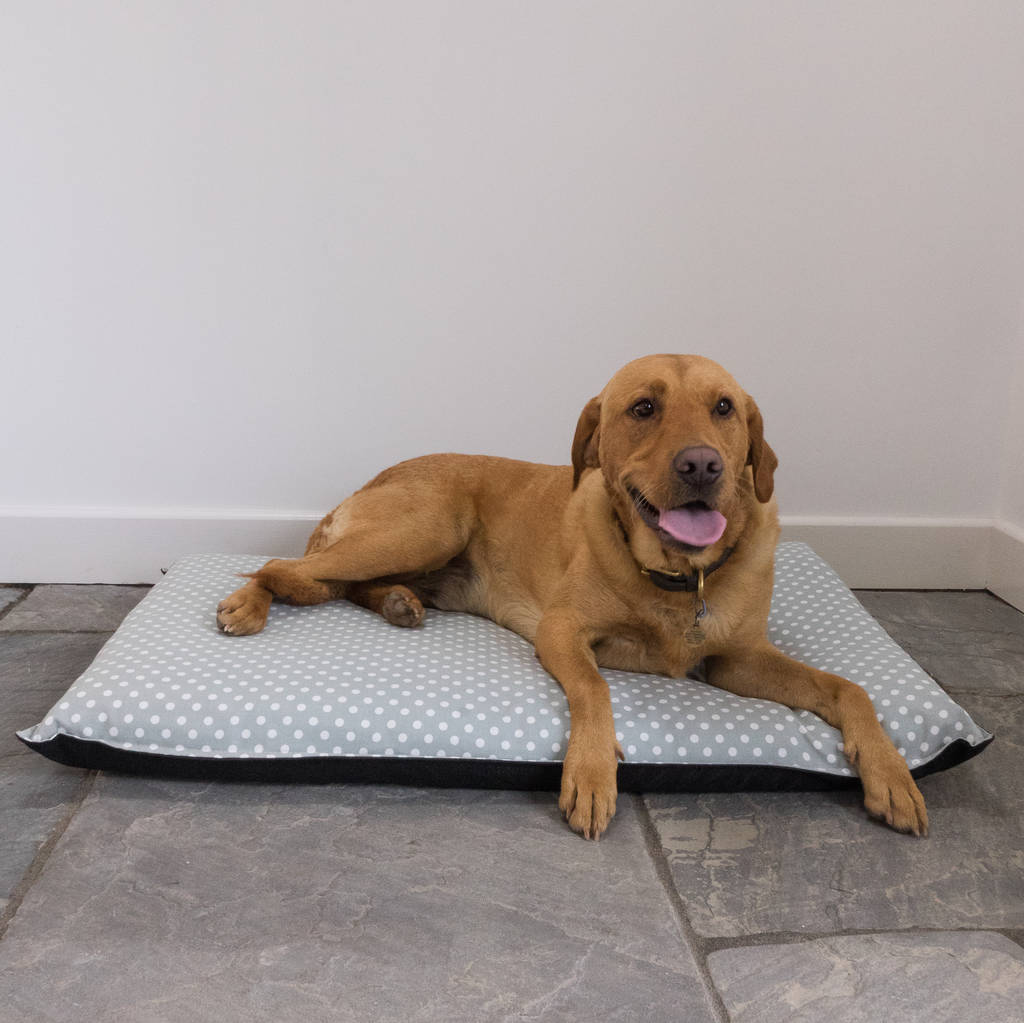 Madelaine Sage Mattress Dog Bed By Cottage in the Hills ...