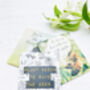 Bee Gifts: Tea Gift For Bee Lovers, thumbnail 4 of 12