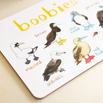 'Boobies' Playful Bird Place Mat, 2 of 3