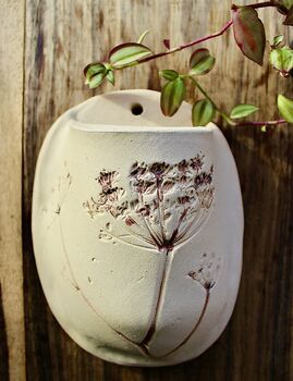 Drift Wood Botanical Wall Planter, 2 of 11