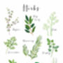 Culinary Herbs A4 Art Print, thumbnail 4 of 7