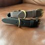 Handmade Buffalo Leather Dog Collar In Two Colours, thumbnail 2 of 6