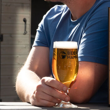 Belgian Craft Beer Case With Beer Hawk Glass, 4 of 4