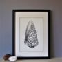 Framed Limited Edition Marble Cone Shell Giclee Print, thumbnail 4 of 6