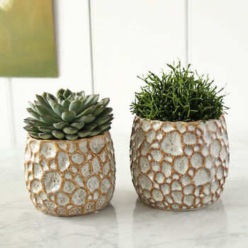 Astro Ceramic Plant Pot, 2 of 3