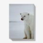 A5 Hardback Notebook Featuring A Polar Bear Family, thumbnail 4 of 4