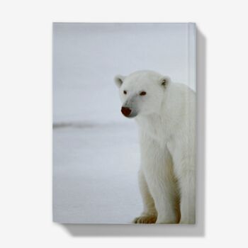 A5 Hardback Notebook Featuring A Polar Bear Family, 4 of 4