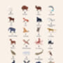 The Animal Alphabet Personalised Print, thumbnail 2 of 7