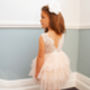 Aria ~ Party Or Flower Girl Dress In Blush, thumbnail 11 of 12