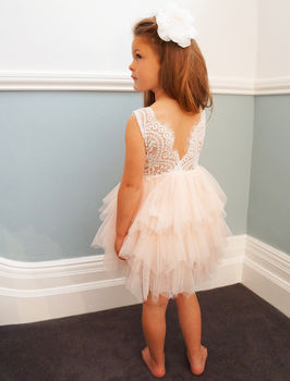 Aria ~ Party Or Flower Girl Dress In Blush, 9 of 10