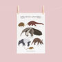 Long Nosed Creatures Print, thumbnail 2 of 5
