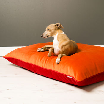 Charley Chau Velour Contrast Dog Bed Mattress, 4 of 8