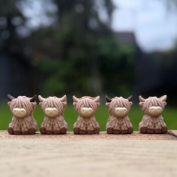 Chocolate Highland Cows, 2 of 3