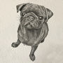 Personalised Pet Portrait Illustration, thumbnail 3 of 8