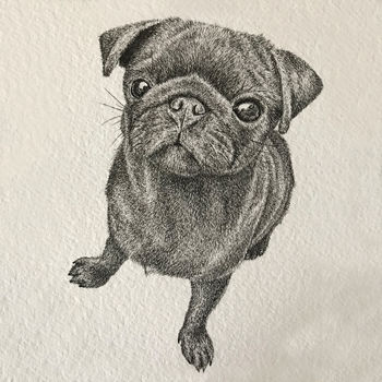 Personalised Pet Portrait Illustration, 3 of 8