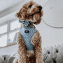 Dog Harness | Blue Polka Dot, thumbnail 3 of 8