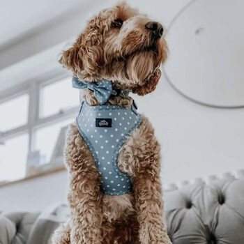 Dog Harness | Blue Polka Dot, 3 of 8