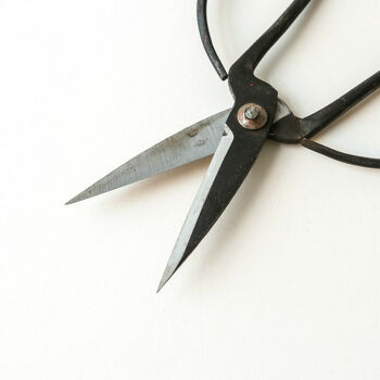 Traditional Black Iron Scissors, 3 of 4