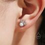 Sterling Silver White Opal And Leaf Motif Stud Earrings, thumbnail 8 of 12