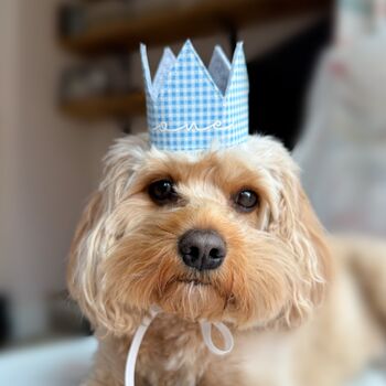 Gingham Dog Birthday Bandana And Hat Set, 6 of 11