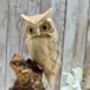 Wooden Owl Ornament Driftwood Sculpture Tawny Owl Gift, thumbnail 2 of 8