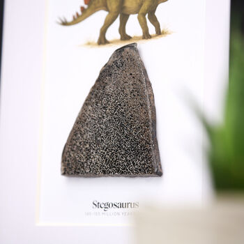 Stegosaurus Dinosaur Bone And Watercolour Illustration Authentic Fossil Frame, 2 of 4