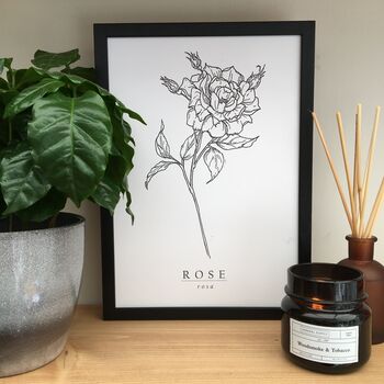 Hand Illustrated Rose Flower Print, 6 of 8