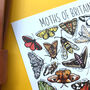 Moths Of Britain Watercolour Postcard, thumbnail 3 of 9