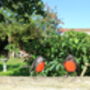 Two X Robin Sculptures Outdoor Statue, thumbnail 7 of 9