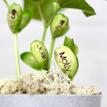 Personalised Name Bean Seeds, 8 of 8
