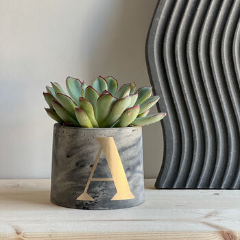 Personalised Concrete Pot With Cactus Or Succulent, 3 of 4
