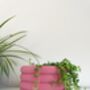 Bubble Plant Pot – Colourful Plant Based Planter, thumbnail 4 of 5