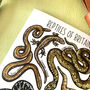 Reptiles Of Britain Greeting Card, thumbnail 9 of 11
