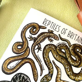 Reptiles Of Britain Greeting Card, 9 of 11