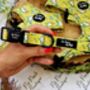 Zesty Butter Meadows Floral Dog Collar, thumbnail 1 of 6