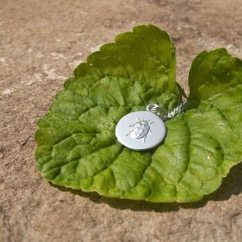 Sterling Silver Lucky Ladybird Necklace, 6 of 7