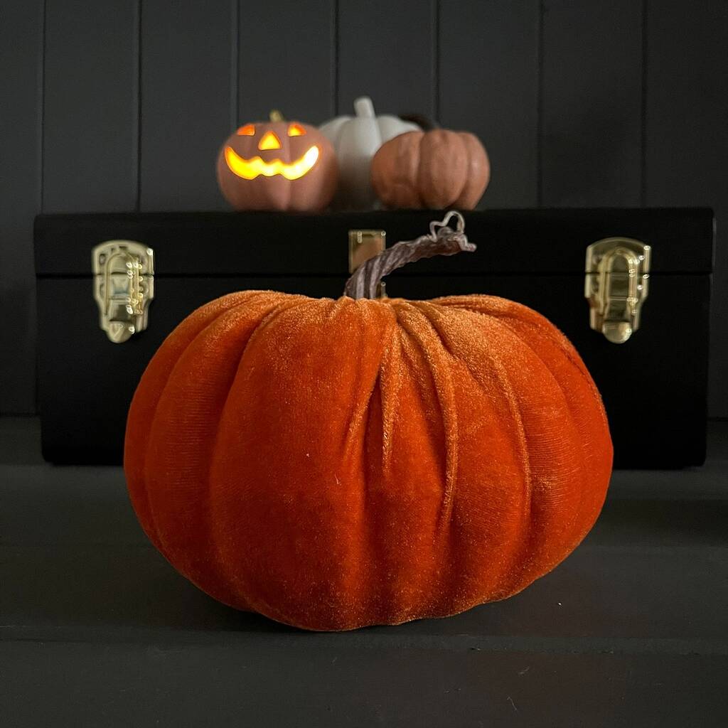 Velvet Pumpkin Decoration By Nest 