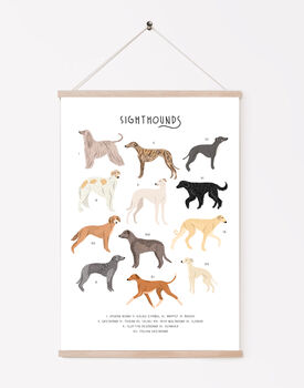 Sighthounds Print, 2 of 3